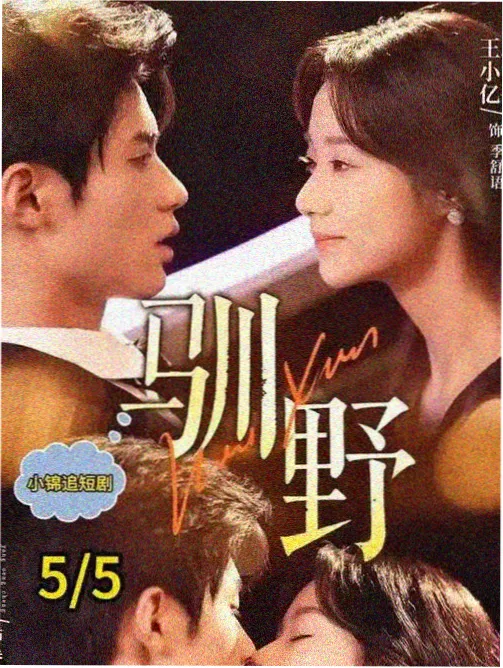 国产免费观看高清电视剧日剧在线 花样年华·日版